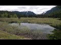 SNOQUALMIE PASS VIEWS