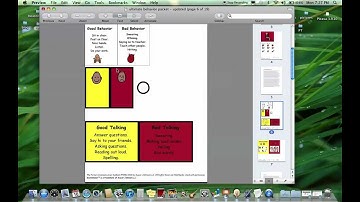 Product Preview - Ultimate Packet of Behavior Management Visuals
