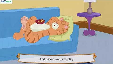 Class   2 Eng  4 My Cat is Fat