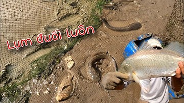 Vàm Đăng vô Cá Chẽm và rất nhiều loại cá ngon | GĐCG #970