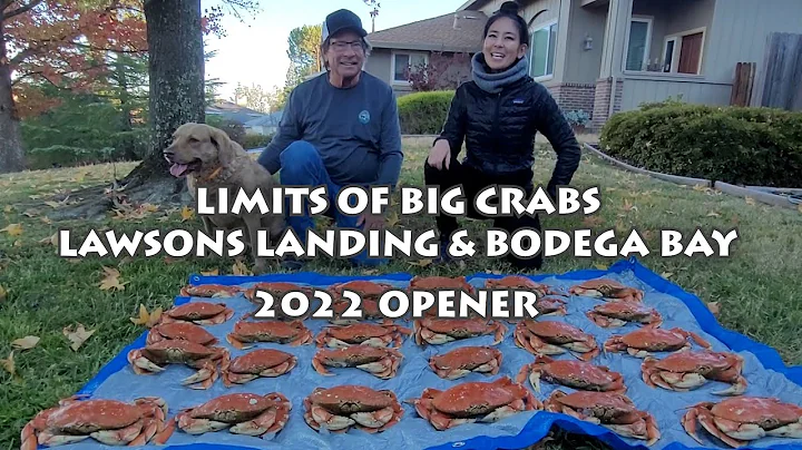 Crab Opener 2022 (Lawson's Landing & Bodega Bay): ...