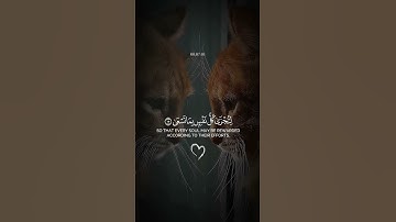 اكتب شيء تؤجر عليه 😴❤️#القارئ ياسر الدوسري#راحة نفسية
