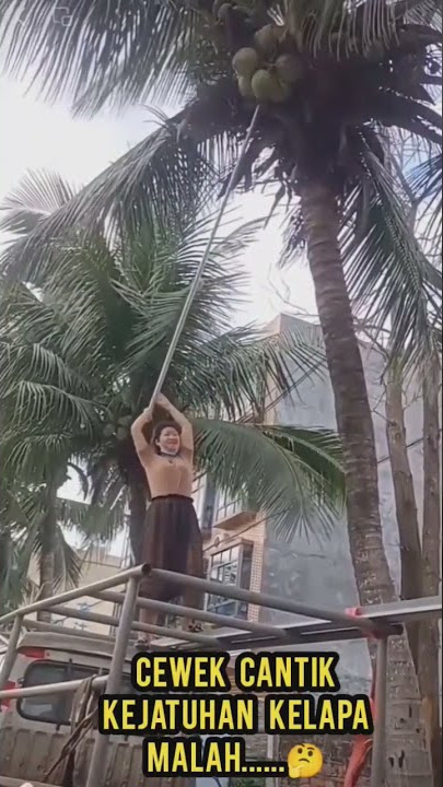 CEWEK CANTIK KEJATUHAN KELAPA MALAH DI... 🤦 #shorts  #cewekcantik #kelapa #viral
