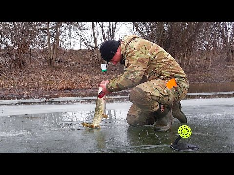 ЖЕРЛИЦЫ. РЫБАЛКА НА ЩУКУ. ОСТАВИЛИ ЖЕРЛИЦЫ НА НОЧЬ. Последний лд.