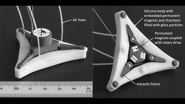 Bio-inspired, planar locomotion system
