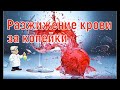 Разжижение крови за копейки. Разжижение крови народными средствами