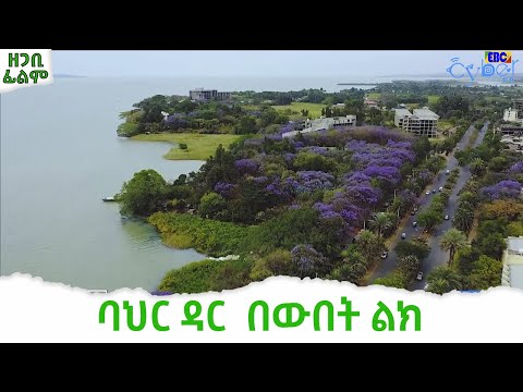 ቪዲዮ: አይብ ቅርፃ ቅርጾች በሳራ ካውማን