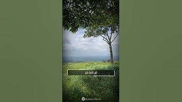 قل أذلك خير أم جنة الخلد التي وعد المتقون كانت لهم جزاء ومصيرا |سورة الفرقان| بصوت القارئ اسلام صبحي