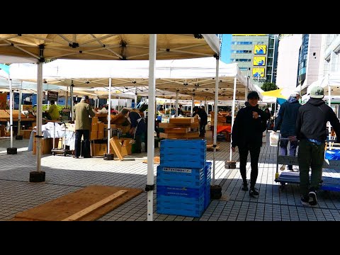 RANDOM MUSINGS 345 - Watching the morning setup at the Tokyo Farmers Market