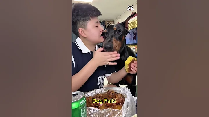 #dogs #dog #doglife #dogshorts #funny #funnydogs #animals #animallife #cute #pets #fypyoutube #fyp