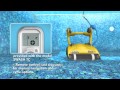 Dolphin Swash Robot Pool Cleaner