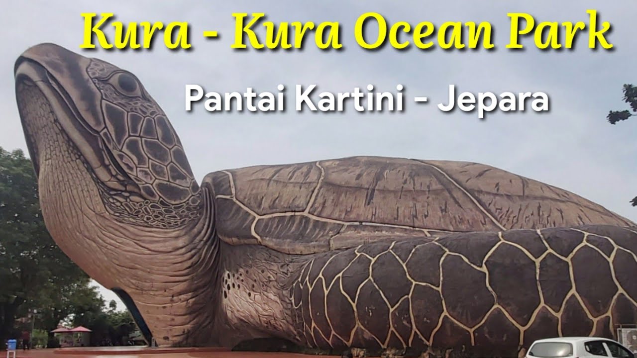 Kura Kura Ocean Park Pantai Kartini Jepara Explorejepara Youtube