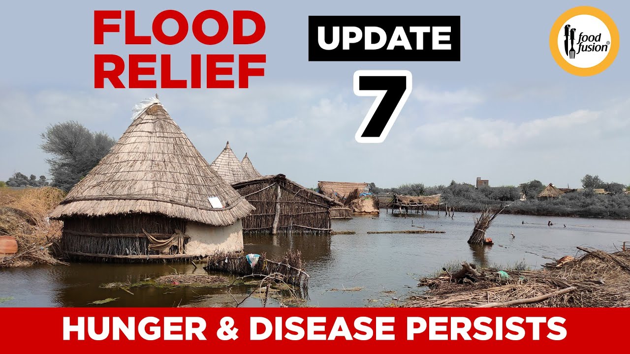 Hunger & Disease Persists - Khipro - 1200 Families Reached Food Fusion Flood Relief Update 7