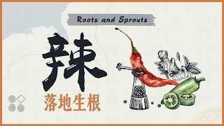 甜酸苦辣第四集｜辣：落地生根
