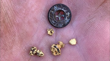 Detecting with the Minelab SDC2300