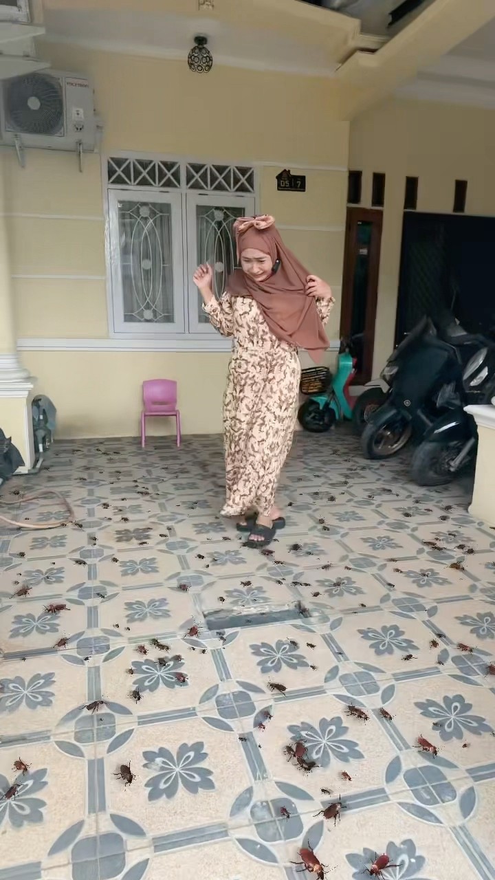 BANYAK BANGET KECOANYA TAKUT ?