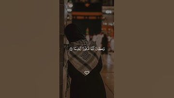 وكان الله غفورا رحيما 🕊❤️ #quran #قرآن #تلاوة_خاشعة #اكسبلور