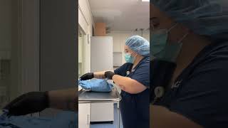 Skill #2 setting up surgical instruments, opening a surgical pack with suture and blade