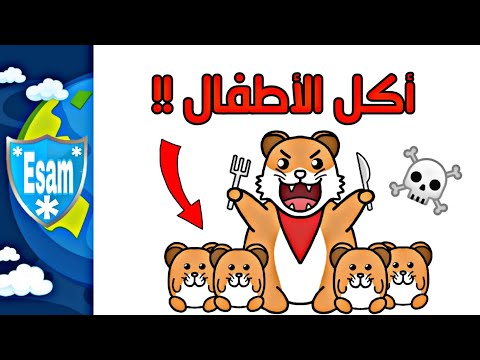 فيديو: عدوى فيروس سينداي في الهامستر