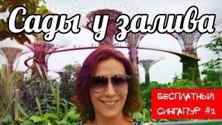 Бесплатный Сингапур ☆ Сады у залива в Сингапуре ☆ Gardens by The Bay in Singapore(Экономим деньги в Сингапуре и гуляем по достопримечательностям с бесплатным входом. Из подобных интересны..., 2014-11-28T02:00:02.000Z)