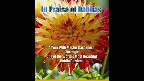 In Praise of Dahlias - Movie Trailer