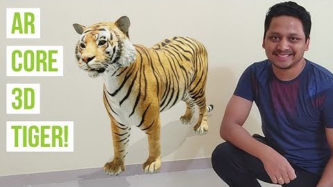How to use AR Core? 3D Tiger AR Sticker! AR powered Apps? Feat. Nokia 8.1