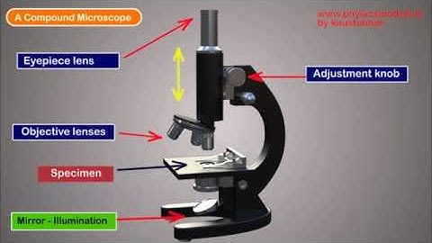 PHYSICS MADE EASY - Compound Microscope