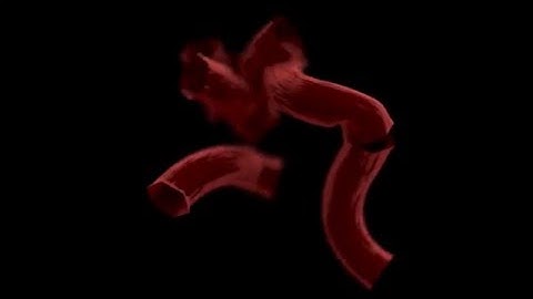 Mapping the human heart - Autodesk Maya