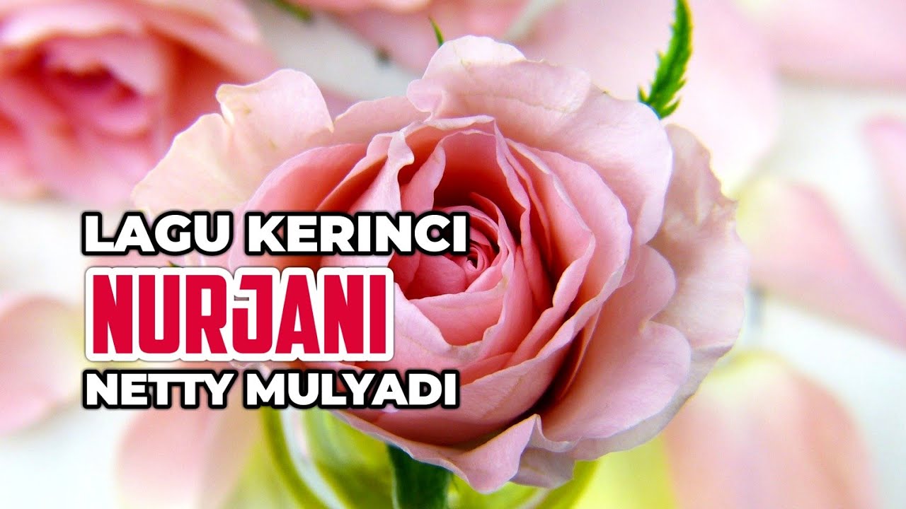 Lagu Kerinci NURJANI || Voc Netty Mulyadi