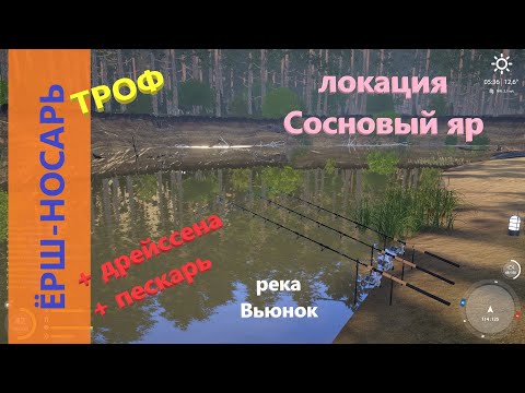 Русская рыбалка 4 - река Вьюнок - Ёрш-носарь трофейный + дрейссена с пескарем