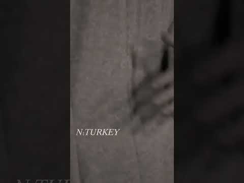 انا عم بلش حبك خليل وزينب وجع القلب محلاهم