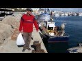 Dinamizacion de los enclaves Pesqueros del Sistema Portuario Andaluz