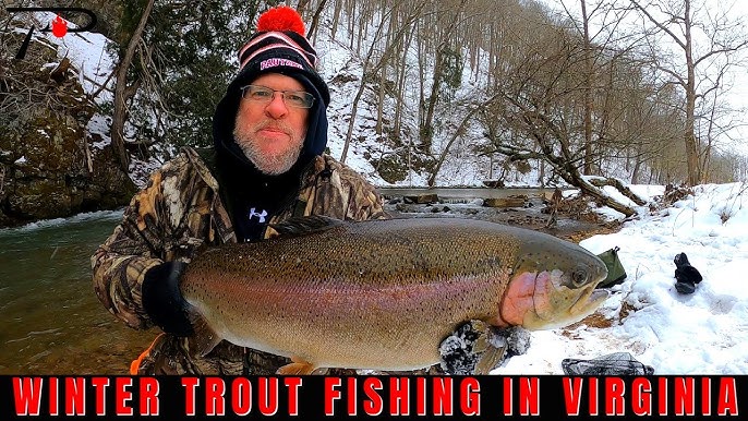 Trout Fishing in America - When I Was a Dinosaur 