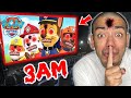 DO NOT WATCH THE PAW PATROL MOVIE AT 3AM!! (SCARY)