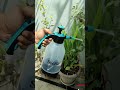 2L Pressure Sprayer Bottle - How to Use Garden Pump Bottle Spray Gun 🌿   Mist Spray for Car &amp; Plants