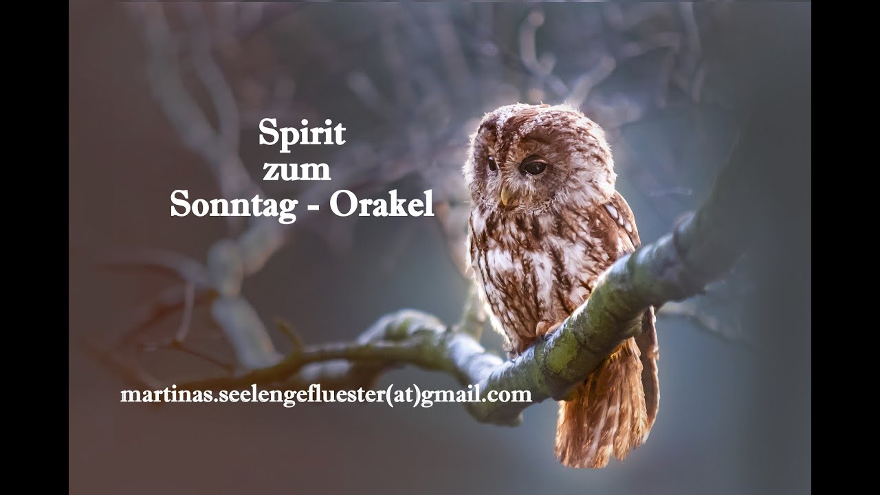 Spirit zum Sonntag-Orakel -- Servus, Pfiat Gott und auf Wiedersehn