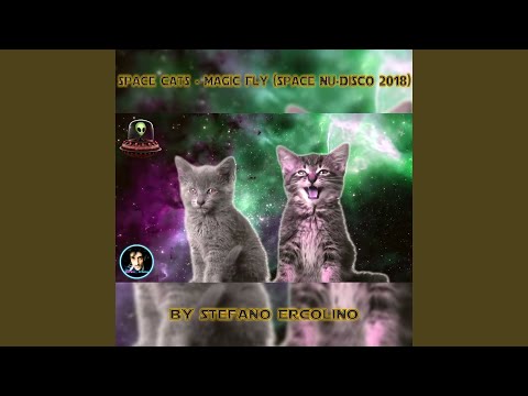 SPACE CATS - MAGIC FLY (Space Nu-Disco 2018)