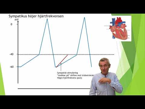 Video: Hur man blir en EKG -tekniker: 10 steg (med bilder)