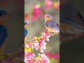 Most Beautiful birds image #viral #short#video status🐦🐧🐍🦜🦚🦤🦩