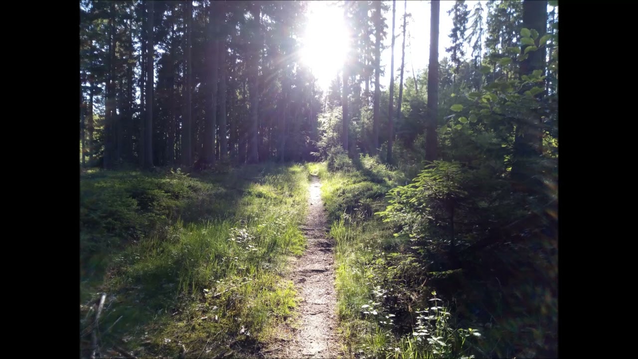 London's Bridge / Georgie / Geordie (Child 209) - Samuel F. 