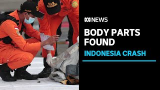 Body Parts Debris Found In Ocean After Plane Crash Off Indonesia Abc News