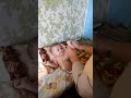 Baby Gymnastics