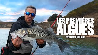 Ma boite de pêche pour le bar – Way Of Fishing