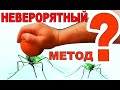 Защита от комаров. Средство от комаров "своими руками". Отпугиватель насекомых из фруктов