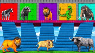 Choose Right Wall With Cow Zombie T Rex Lion Buffalo Mammoth Elephant Pig Wild animals Matching new