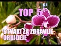 Što trebamo znati - Top 5 Stvari za zdravije orhideje