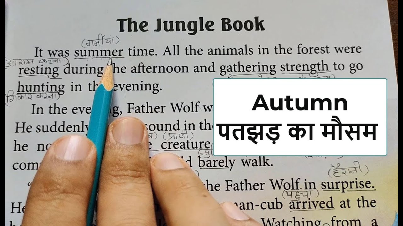 jungle book english essay