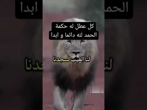 إرادة الله والحكم حكم الله والرزق من الله والحياة والممات امر من الله لاتيأس تفال كل شيء بقدر الله