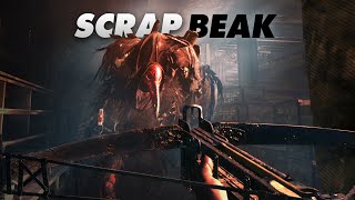 Scrapbeak! - Hunt Showdown Solo Gameplay