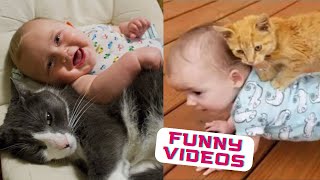 Cutest Babies Playing With Cats Compilation Funny Videos Part 2 || Kids Funny Videos || Kyoot Babies